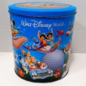 DISNEY PARKS TIN